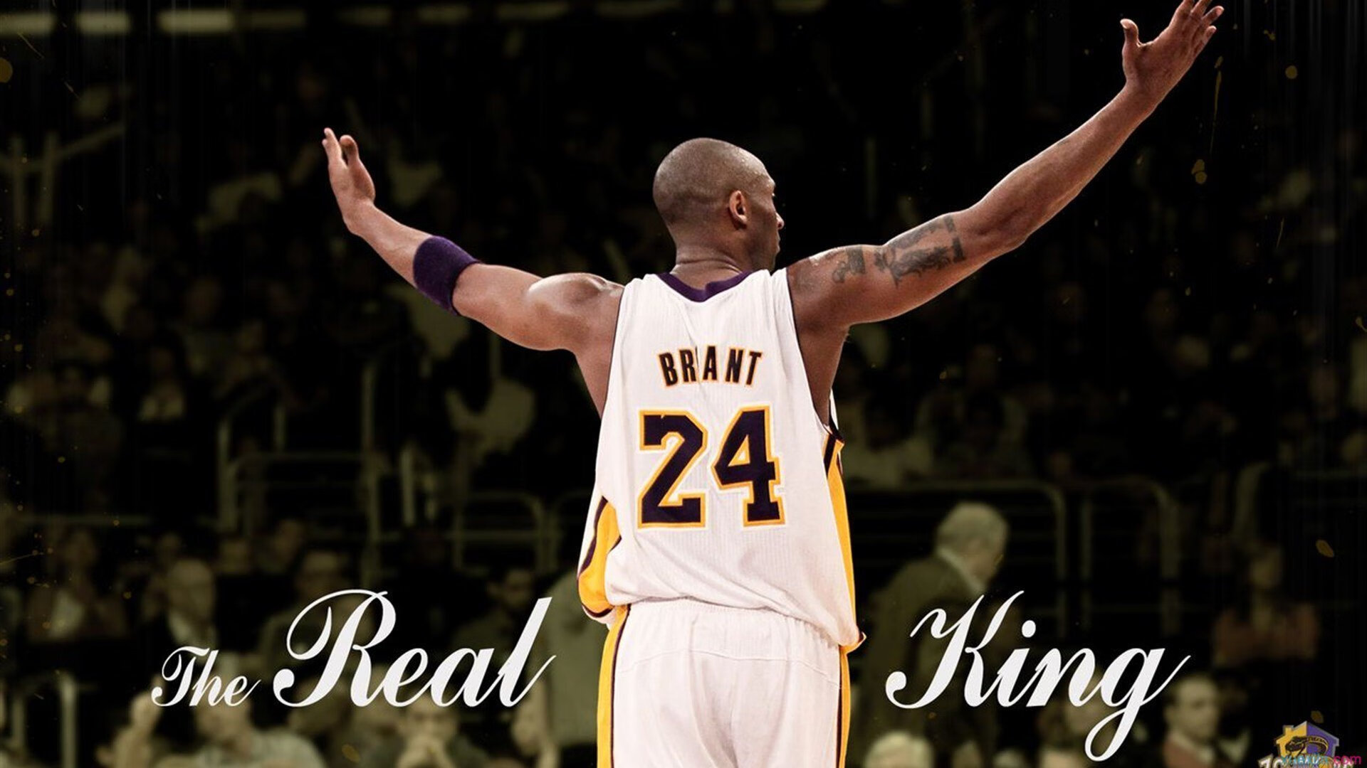 丹·卡特的领导力与球场表现,巩固了全黑队的核心地位,卡特丹宁斯